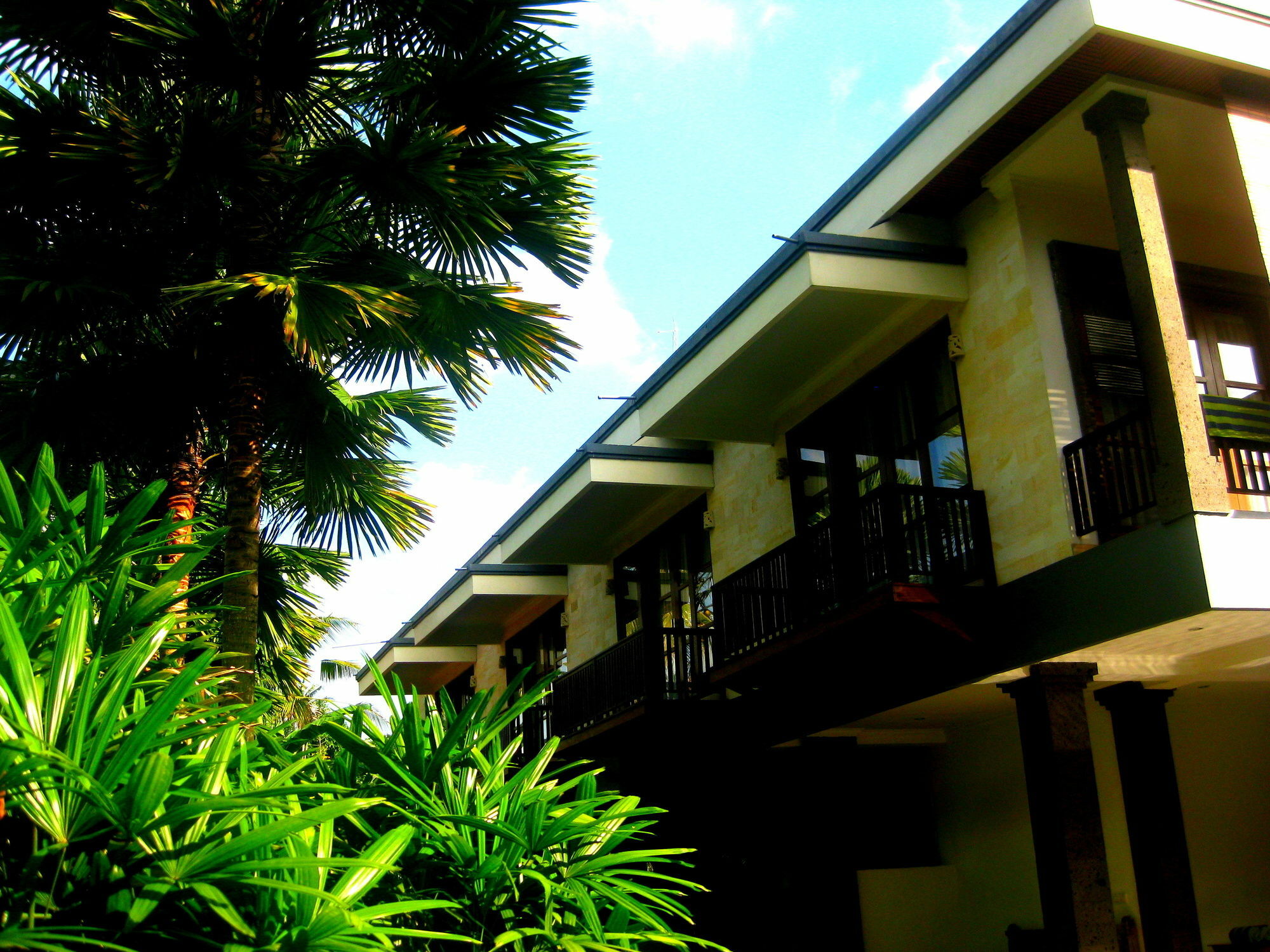 Villa Sonia Bisma Ubud Exterior foto