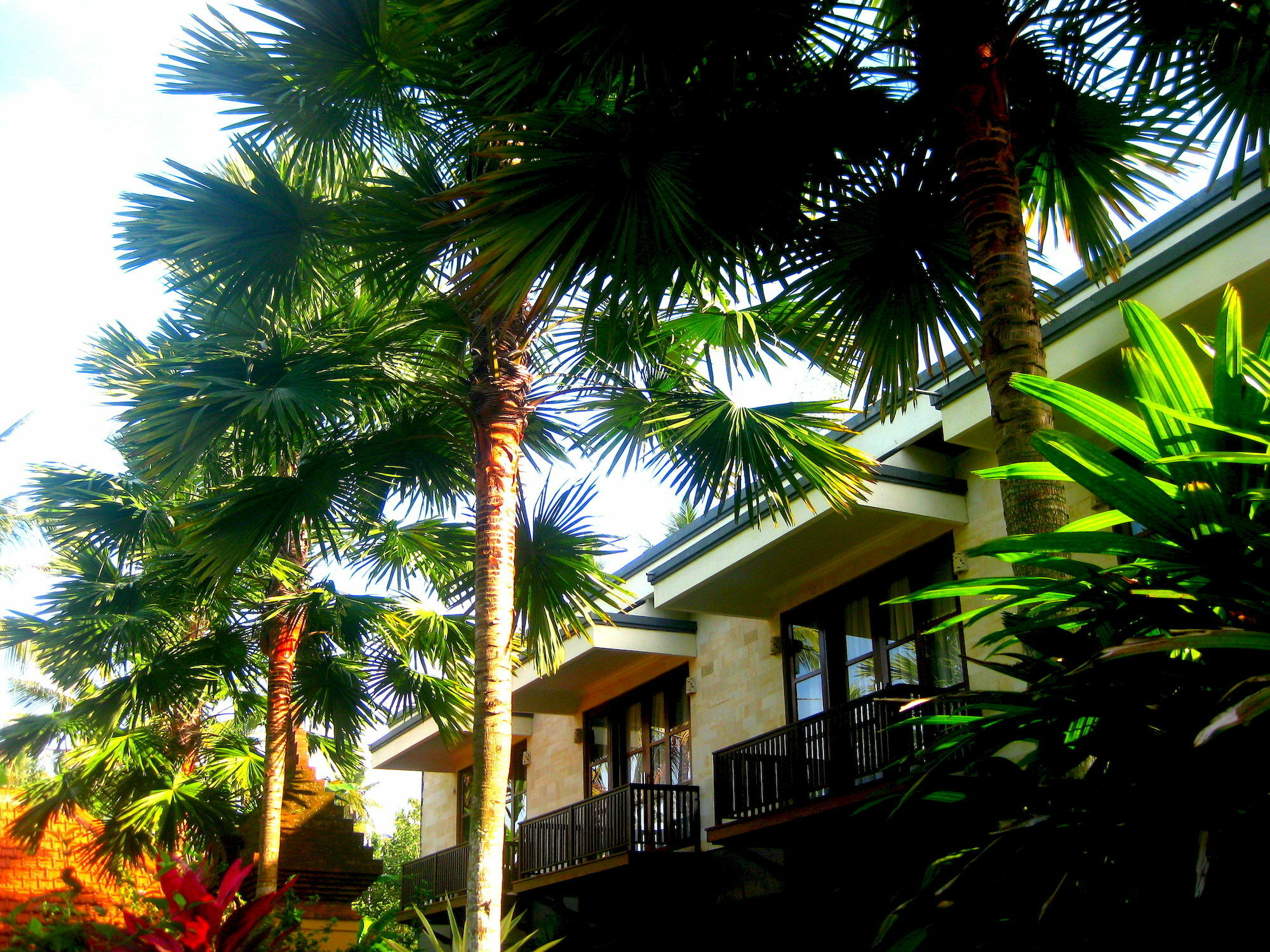 Villa Sonia Bisma Ubud Exterior foto