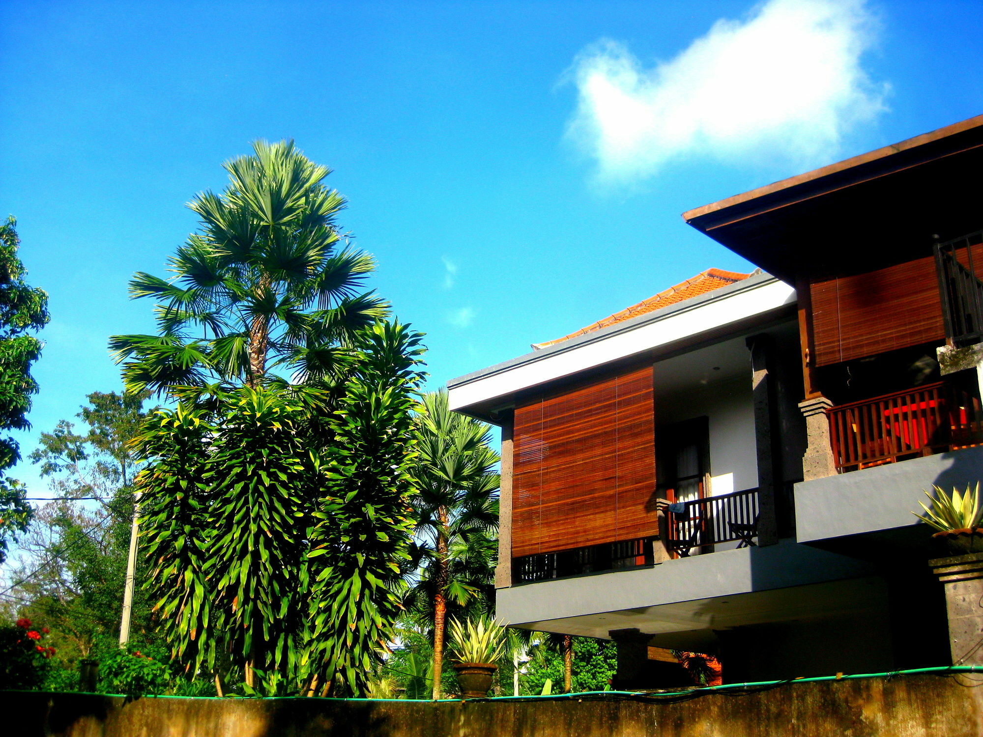 Villa Sonia Bisma Ubud Exterior foto